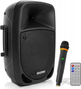 800W Portable PA Speaker