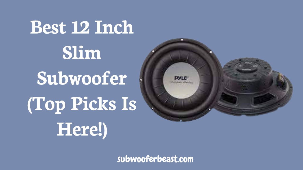 Best 10 Inch Slim Subwoofer